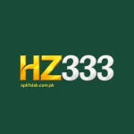 HZ333 Game
